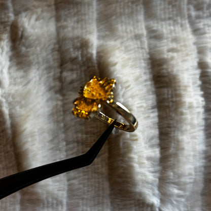 HK Ring